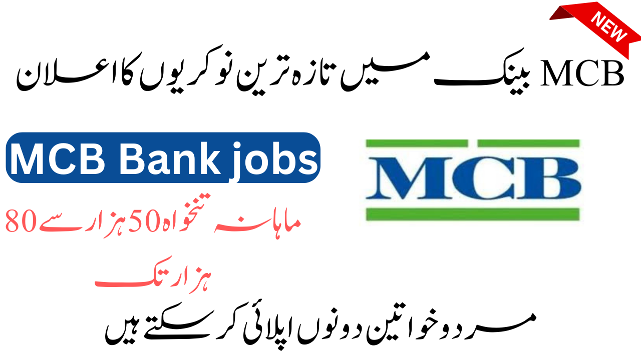 MCB Bank Jobs 2024