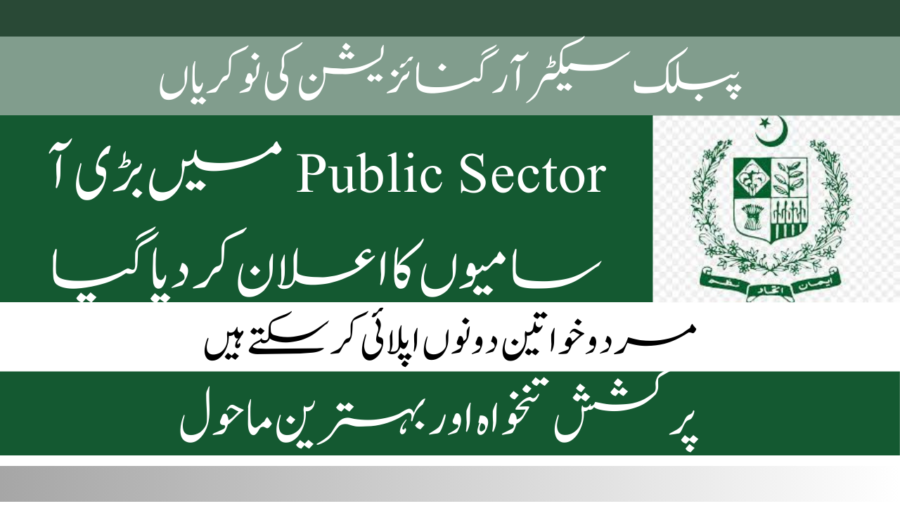 Sindh Public Sector Organization Jobs 2024