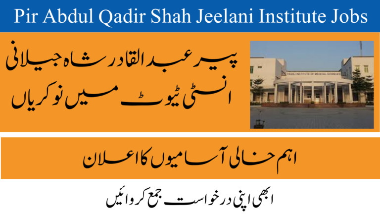 Pir Abdul Qadir Shah Jeelani Institute Jobs 2024