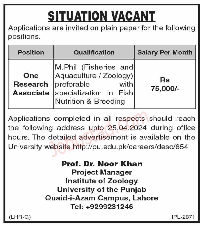 Institute of Zoology PU Jobs 2024