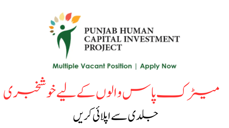 Punjab Human Capital Investment Project Jobs 2024