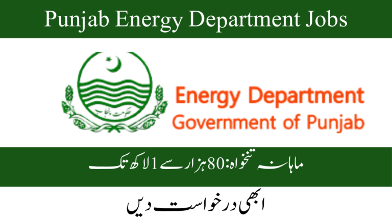 Punjab Energy Department Jobs 2024