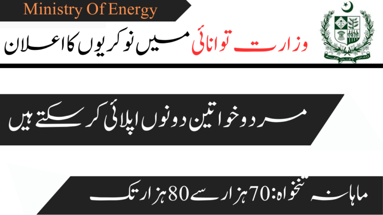 Ministry Of Energy Jobs 2024