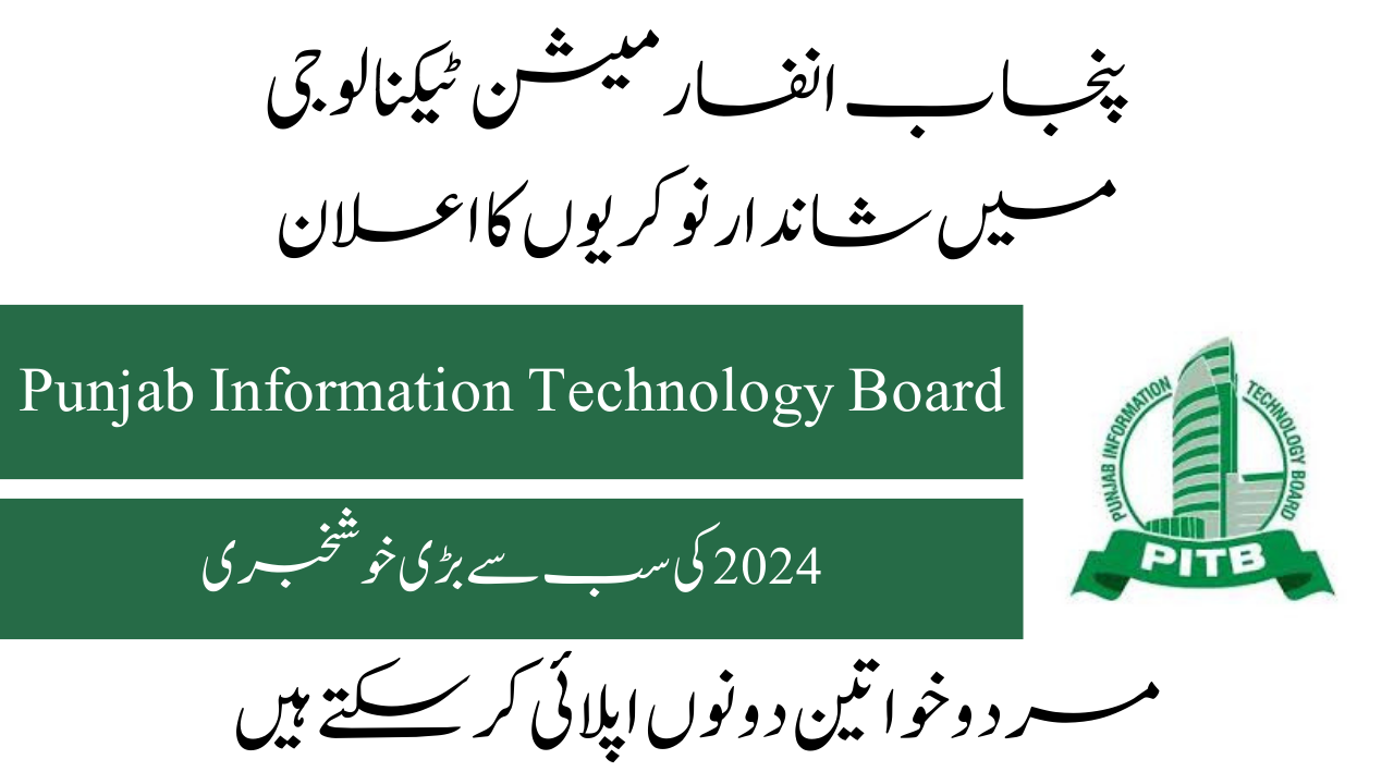 Punjab Information Technology Board Jobs 2024